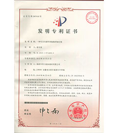 上海巢湖国力航标器材有限公司发明专利证书